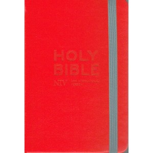 NIV Holy Bible In Red